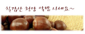 칠갑산 청양 알밤 4 Kg (2010년산) – 14,000원 판매(배송비 착불)