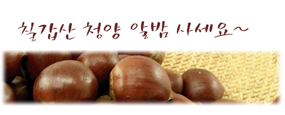칠갑산 청양 알밤 4 Kg (2010년산) – 14,000원 판매(배송비 착불)