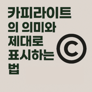 카피라이트(Copyright)의 의미와 제대로 표기하는 법